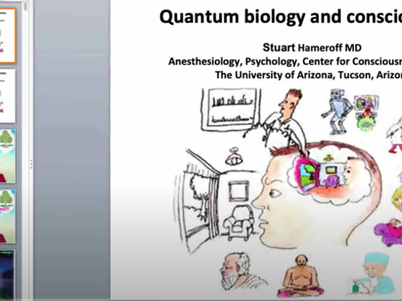 Quantum Biology & Consciousness
